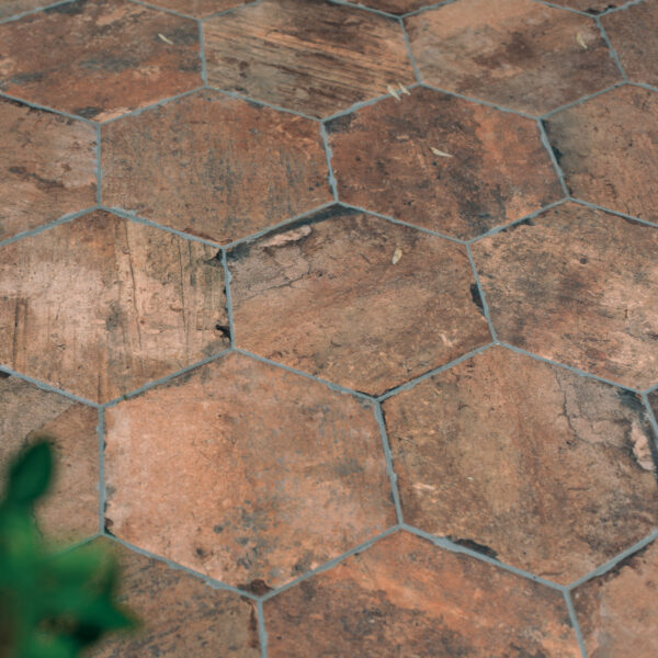 Chicago Old Hexagon Tile on Floor